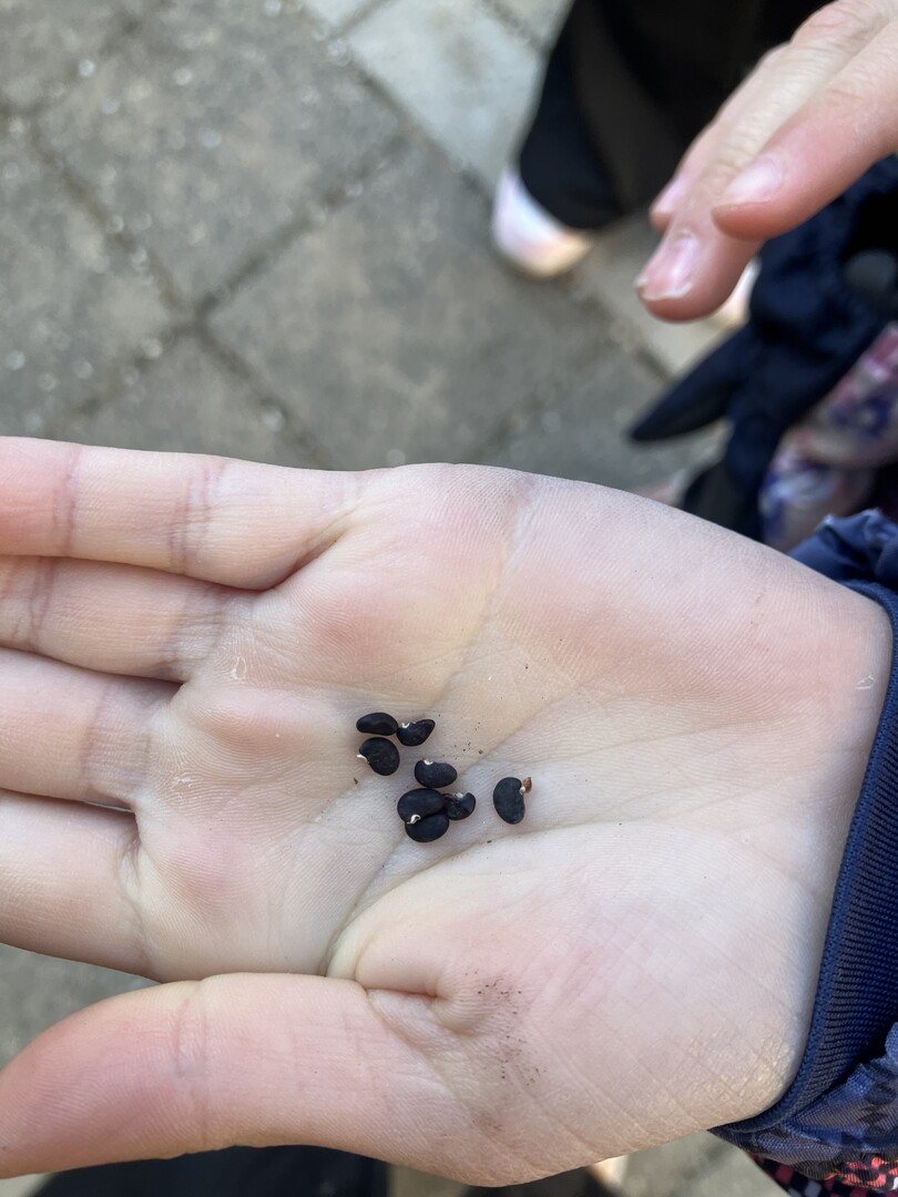 Nieuws uit groep 4 18 03 copy