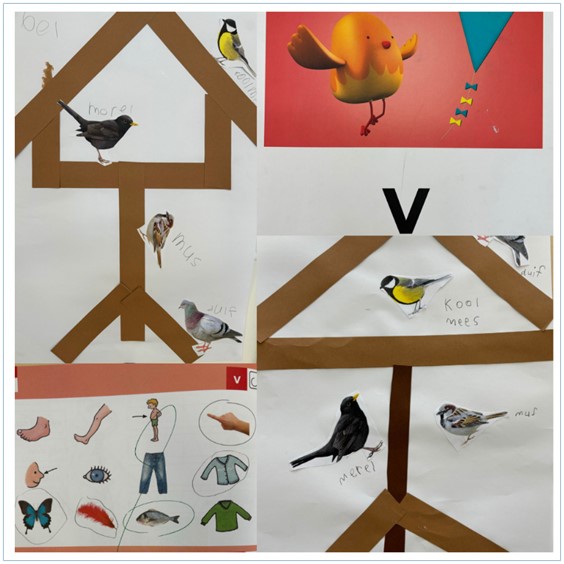 vogels